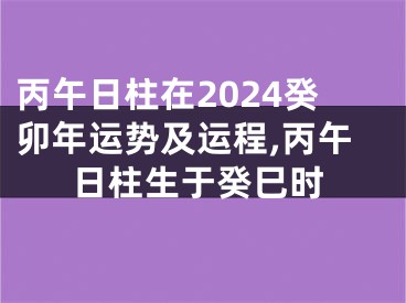 丙午日柱在2024癸卯年运势及运程,丙午日柱生于癸巳时
