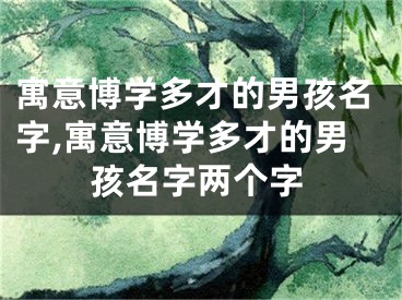 寓意博学多才的男孩名字,寓意博学多才的男孩名字两个字