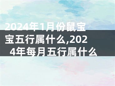 2024年1月份鼠宝宝五行属什么,2024年每月五行属什么