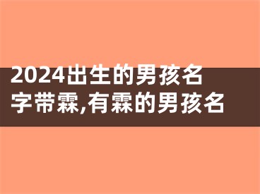 2024出生的男孩名字带霖,有霖的男孩名