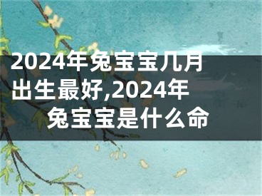 2024年兔宝宝几月出生最好,2024年兔宝宝是什么命