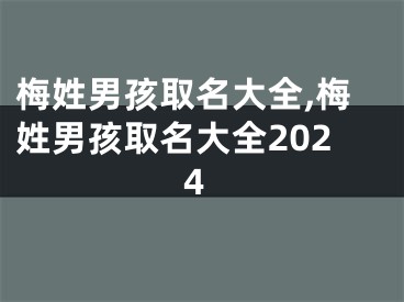 梅姓男孩取名大全,梅姓男孩取名大全2024