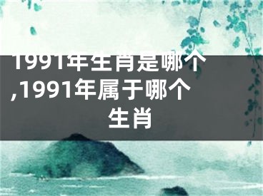 1991年生肖是哪个,1991年属于哪个生肖
