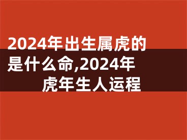 2024年出生属虎的是什么命,2024年虎年生人运程