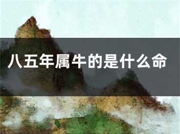 八五年属牛的是什么命