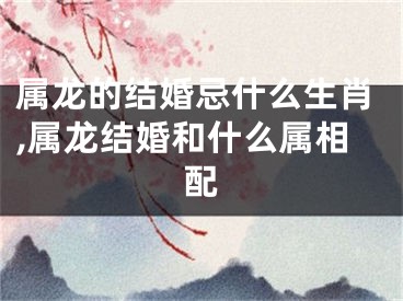 属龙的结婚忌什么生肖,属龙结婚和什么属相配