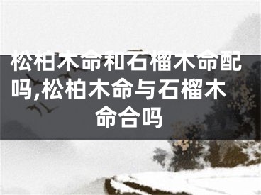 松柏木命和石榴木命配吗,松柏木命与石榴木命合吗