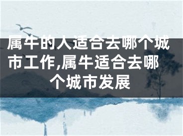 属牛的人适合去哪个城市工作,属牛适合去哪个城市发展