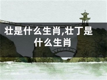 壮是什么生肖,壮丁是什么生肖