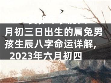 2024癸卯年农历六月初三日出生的属兔男孩生辰八字命运详解,2023年六月初四