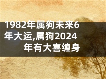 1982年属狗未来6年大运,属狗2024年有大喜缠身