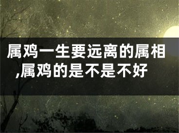 属鸡一生要远离的属相,属鸡的是不是不好