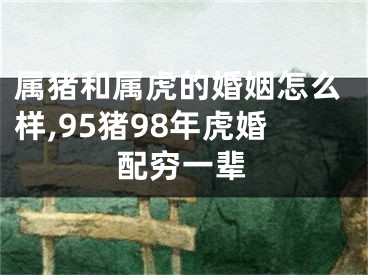 属猪和属虎的婚姻怎么样,95猪98年虎婚配穷一辈