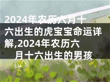 2024年农历六月十六出生的虎宝宝命运详解,2024年农历六月十六出生的男孩