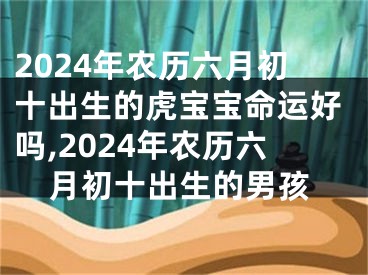 2024年农历六月初十出生的虎宝宝命运好吗,2024年农历六月初十出生的男孩