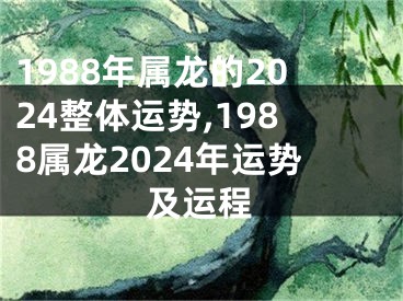 1988年属龙的2024整体运势,1988属龙2024年运势及运程