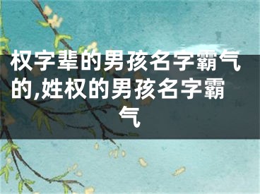 权字辈的男孩名字霸气的,姓权的男孩名字霸气