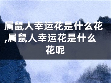 属鼠人幸运花是什么花,属鼠人幸运花是什么花呢