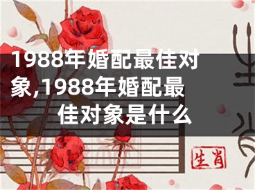1988年婚配最佳对象,1988年婚配最佳对象是什么