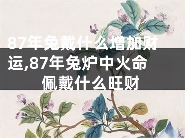 87年兔戴什么增加财运,87年兔炉中火命佩戴什么旺财