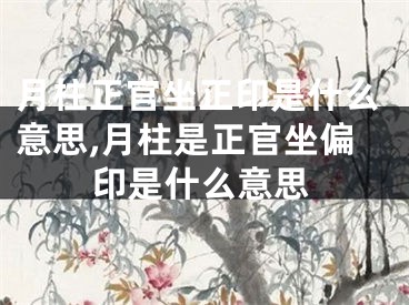 月柱正官坐正印是什么意思,月柱是正官坐偏印是什么意思