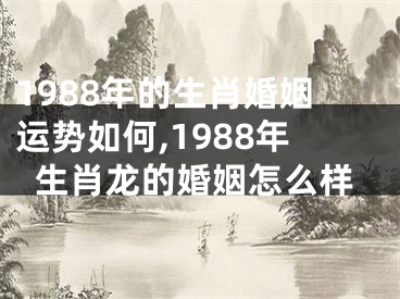 1988年的生肖婚姻运势如何,1988年生肖龙的婚姻怎么样