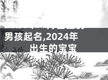 2024年一月出生的男孩起名,2024年出生的宝宝