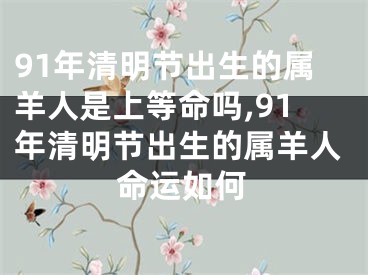 91年清明节出生的属羊人是上等命吗,91年清明节出生的属羊人命运如何