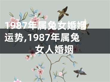 1987年属兔女婚姻运势,1987年属兔女人婚姻