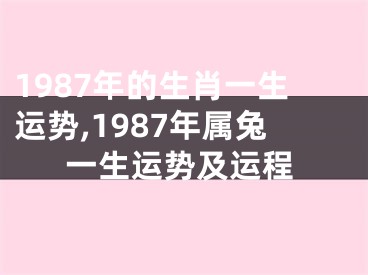 1987年的生肖一生运势,1987年属兔一生运势及运程
