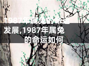 1987年属兔的命运发展,1987年属兔的命运如何