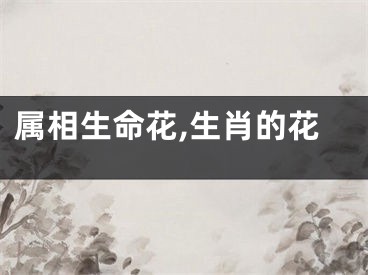 属相生命花,生肖的花