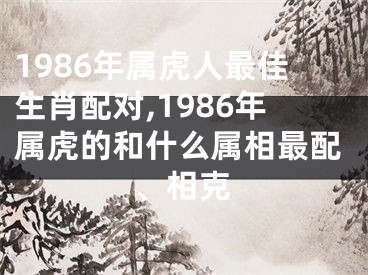 1986年属虎人最佳生肖配对,1986年属虎的和什么属相最配、相克