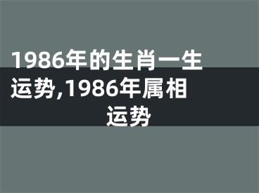 1986年的生肖一生运势,1986年属相运势