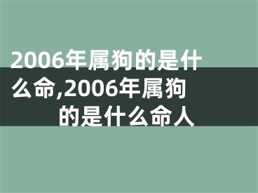 2006年属狗的是什么命,2006年属狗的是什么命人