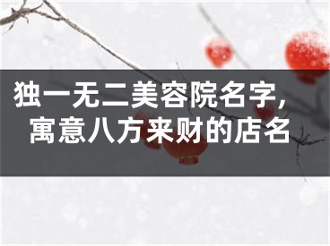 独一无二美容院名字,寓意八方来财的店名
