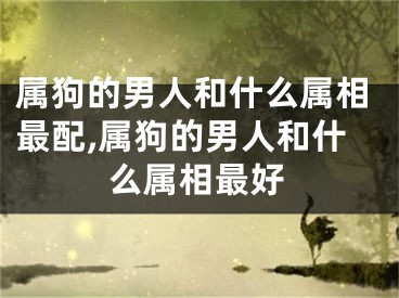 属狗的男人和什么属相最配,属狗的男人和什么属相最好