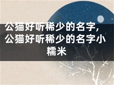 公猫好听稀少的名字,公猫好听稀少的名字小糯米