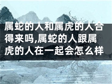 属蛇的人和属虎的人合得来吗,属蛇的人跟属虎的人在一起会怎么样