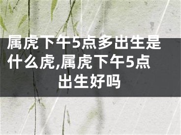 属虎下午5点多出生是什么虎,属虎下午5点出生好吗