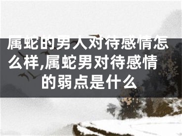 属蛇的男人对待感情怎么样,属蛇男对待感情的弱点是什么