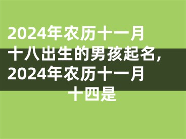 2024年农历十一月十八出生的男孩起名,2024年农历十一月十四是