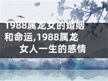 1988属龙女的婚姻和命运,1988属龙女人一生的感情