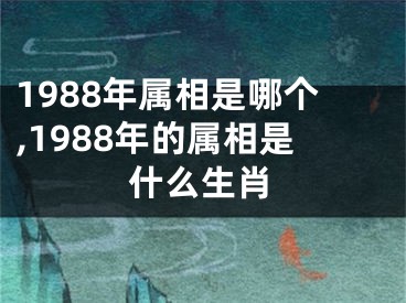 1988年属相是哪个,1988年的属相是什么生肖