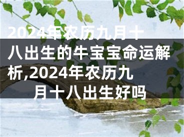 2024年农历九月十八出生的牛宝宝命运解析,2024年农历九月十八出生好吗