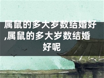 属鼠的多大岁数结婚好,属鼠的多大岁数结婚好呢