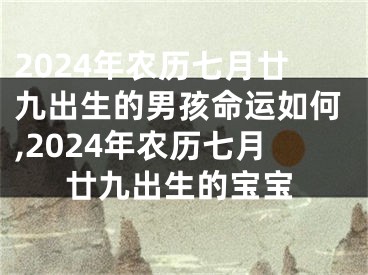 2024年农历七月廿九出生的男孩命运如何,2024年农历七月廿九出生的宝宝