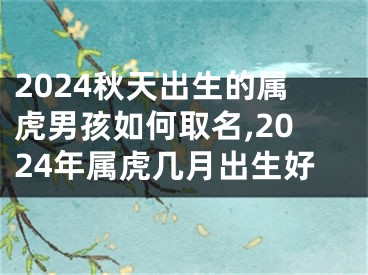 2024秋天出生的属虎男孩如何取名,2024年属虎几月出生好