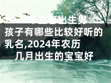 2024年立春出生男孩子有哪些比较好听的乳名,2024年农历几月出生的宝宝好