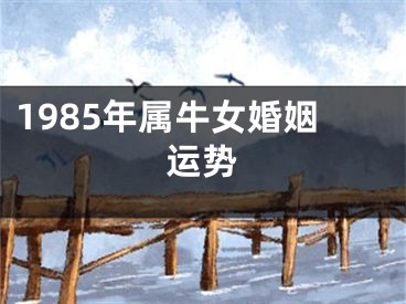 1985年属牛女婚姻运势
